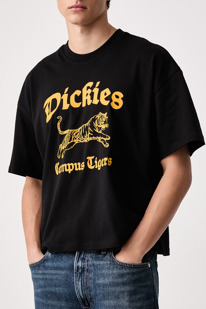 T-shirt męski bawełniany Dickies DK0A8DEFBLK1 czarny