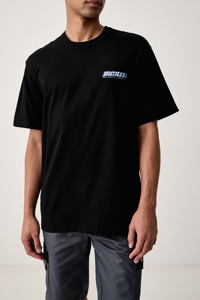 T-shirt męski bawełniany Dickies DK0A8D3HBLK1 czarny