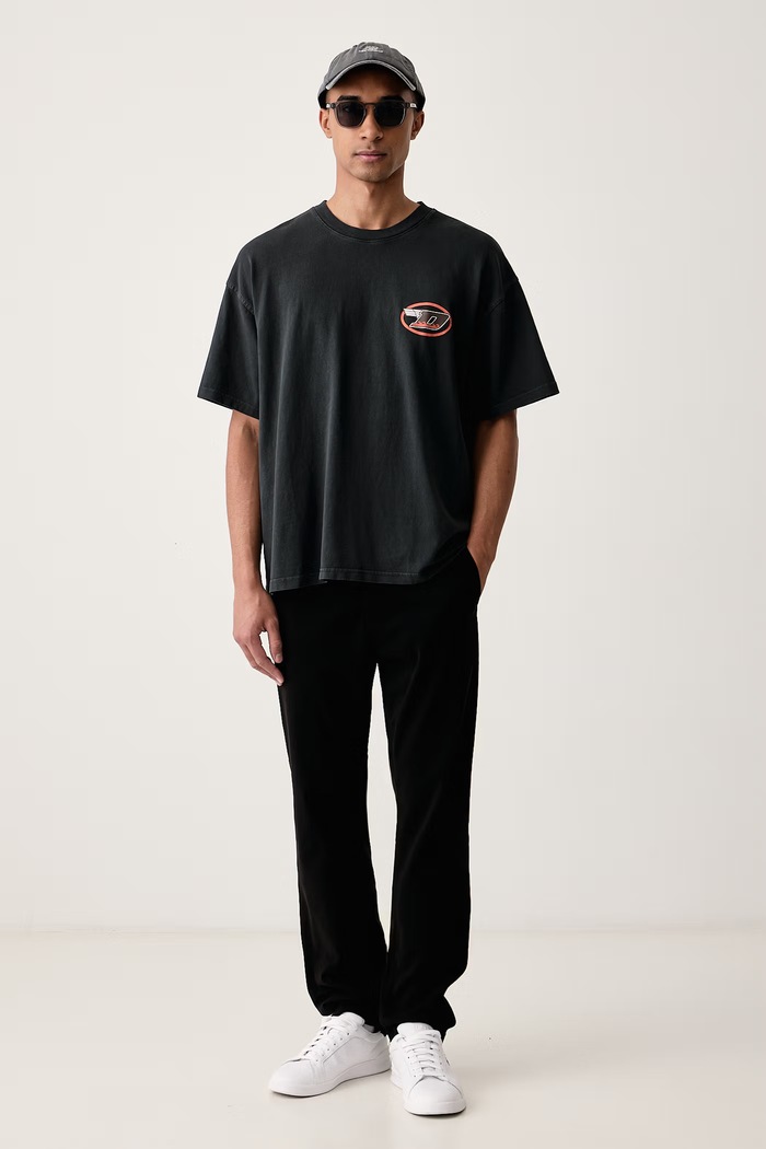 Dickies T-shirt męski bawełniany DK0A8D3FBLK1 czarny AW26