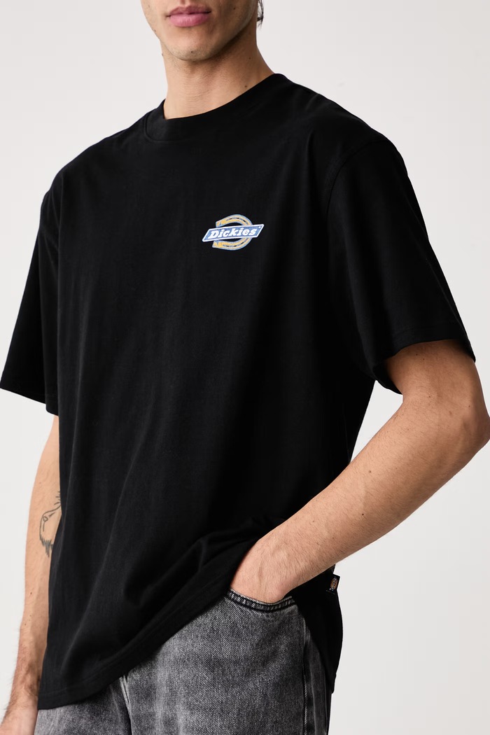 T-shirt męski bawełniany Dickies DK0A8CIOBLK1 czarny