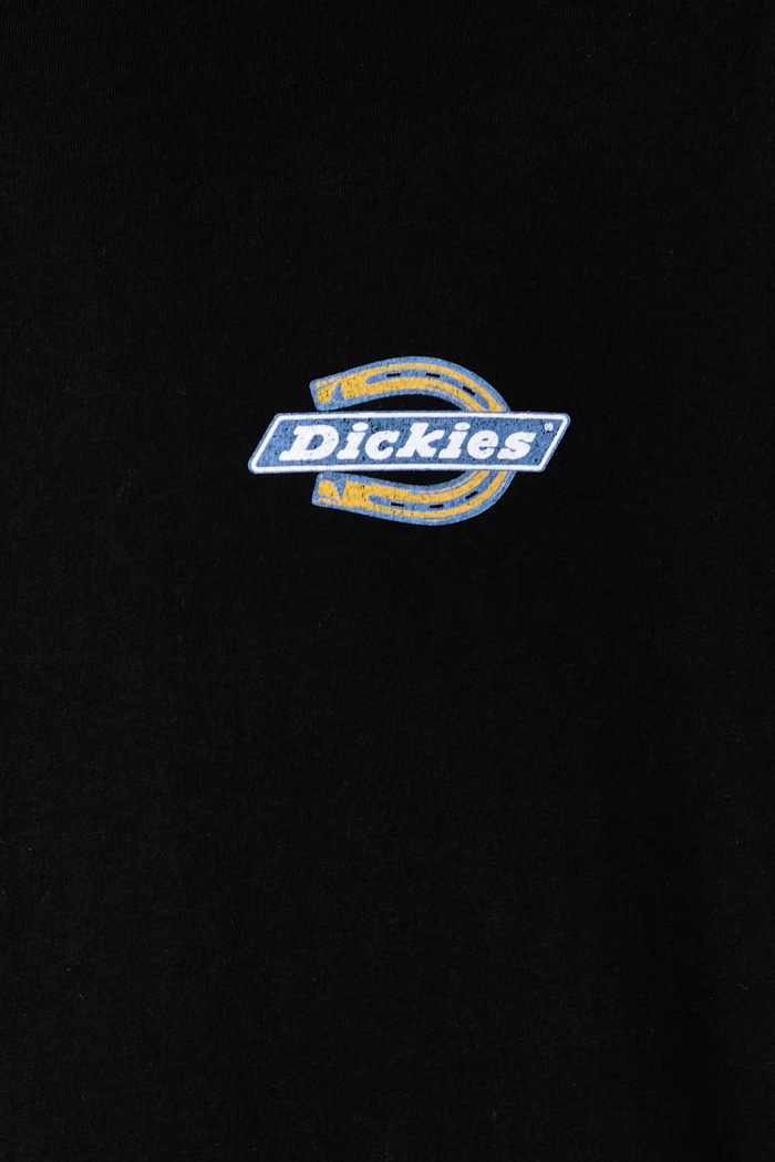 T-shirt męski bawełniany Dickies czarny DK0A8CIOBLK1