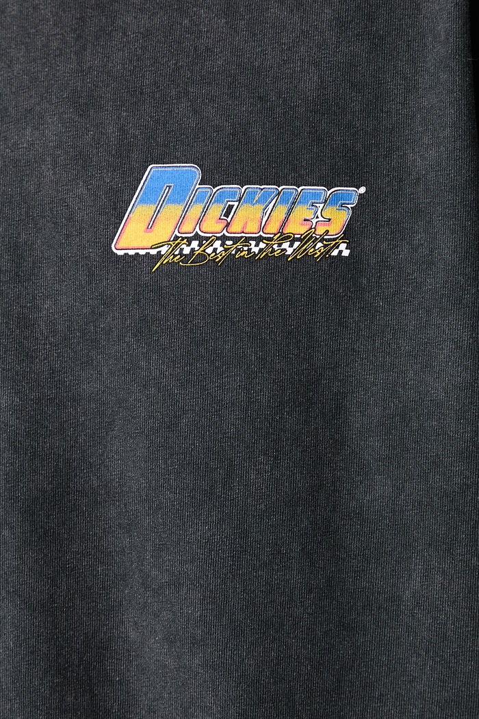 T-shirt męski bawełniany Dickies czarny DK0A8CD3BLK1