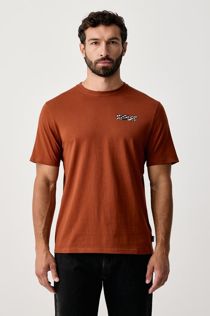 Odzież Hurley T-shirt męski bawełniany Printing Press Gaiolas MTSEUED0041 brązowy