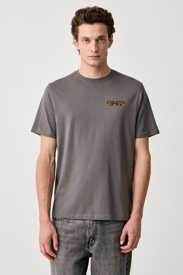 Odzież Hurley T-shirt męski bawełniany Printing Press Gaiolas MTSEUED0041 szary