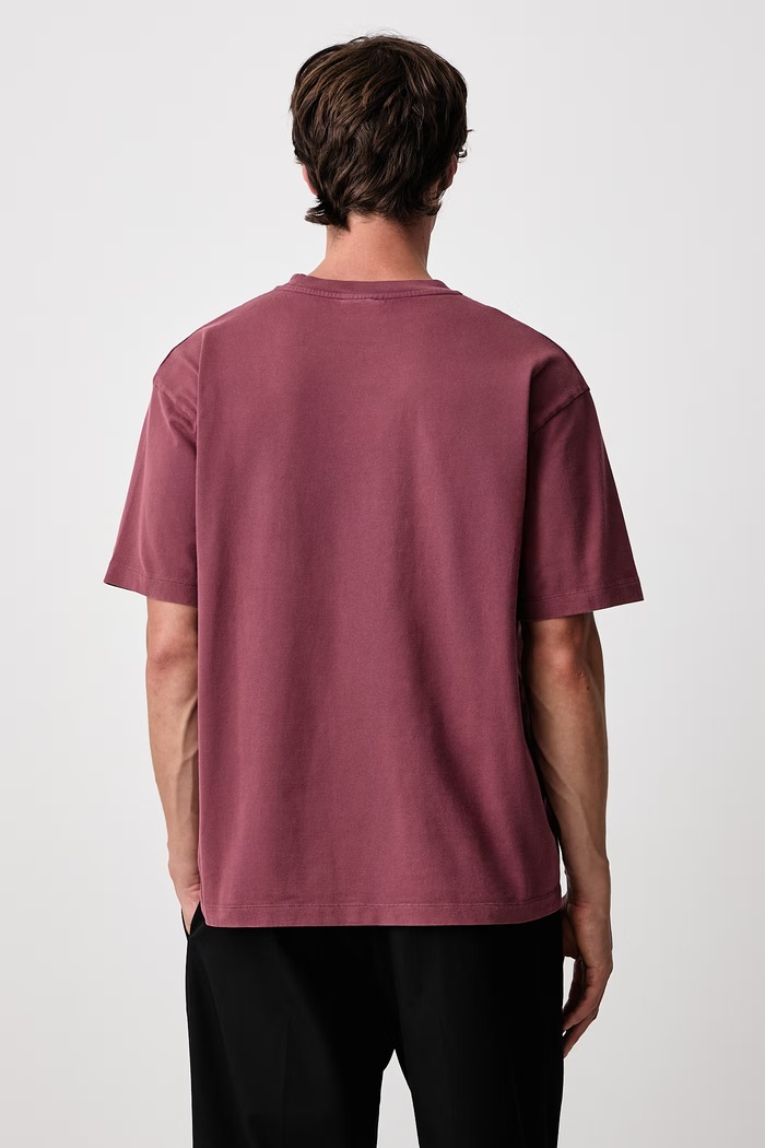 Odzież Drôle de Monsieur T-shirt męski bawełniany Glass Lion M.TS354.CO248 bordowy