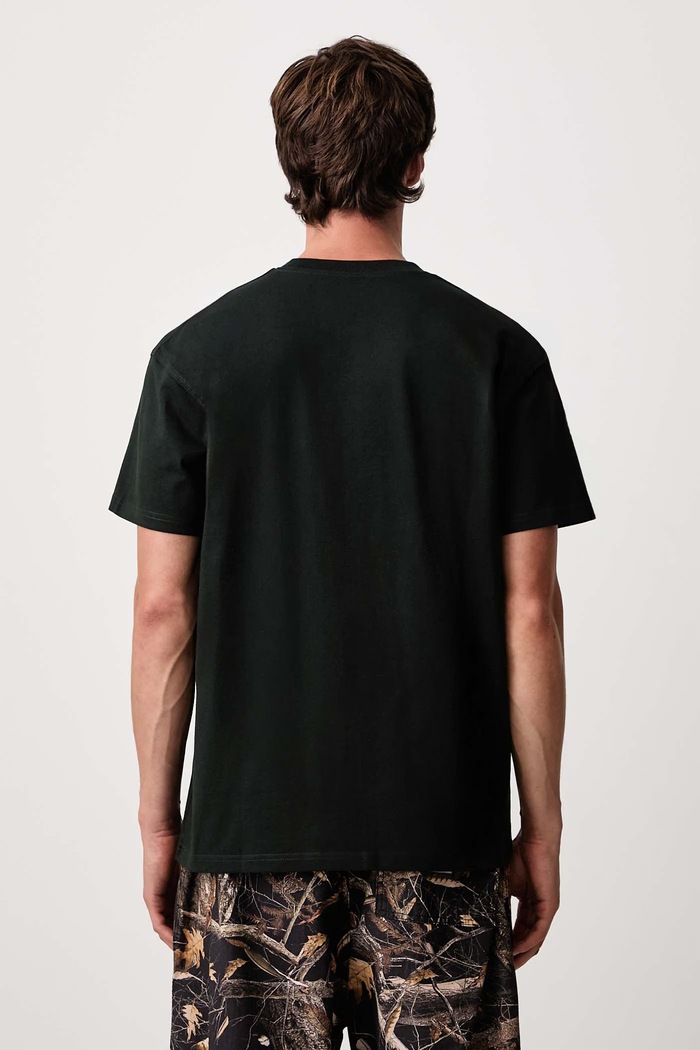 Одежда Carhartt WIP American Script футболка из хлопка для мужчин I029956.3T6XX зелёный