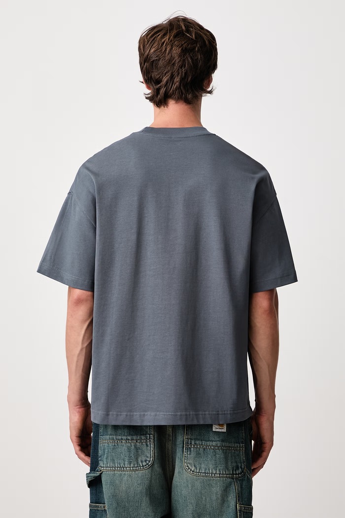 Abbigliamento Carhartt WIP Pennon T-Shirt in cotone da uomo I037261 grigio