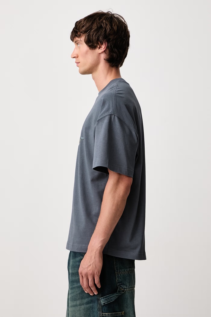 Pennon T-Shirt in cotone da uomo Carhartt WIP I037261 grigio