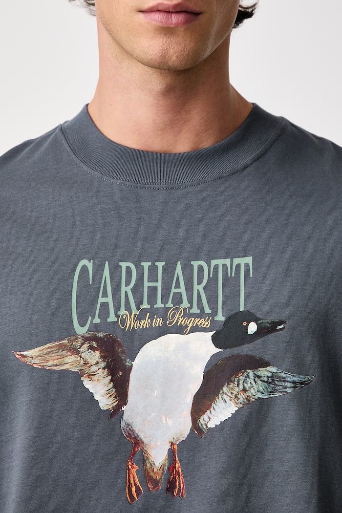 Carhartt WIP Pennon T-Shirt in cotone da uomo I037261
