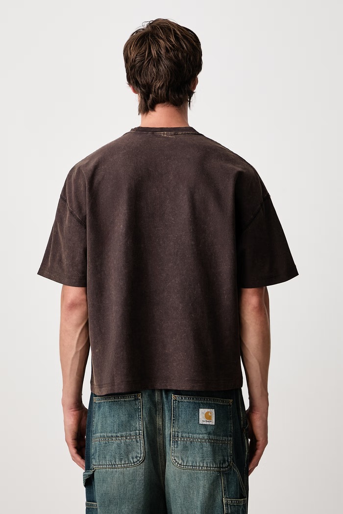Abbigliamento Carhartt WIP Lambert T-Shirt in cotone da uomo I037016 marrone