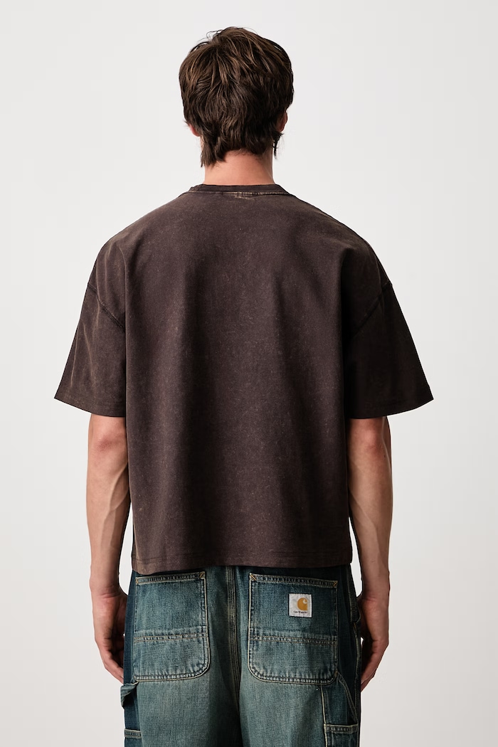 Abbigliamento Carhartt WIP Lambert T-Shirt in cotone da uomo I037016 marrone