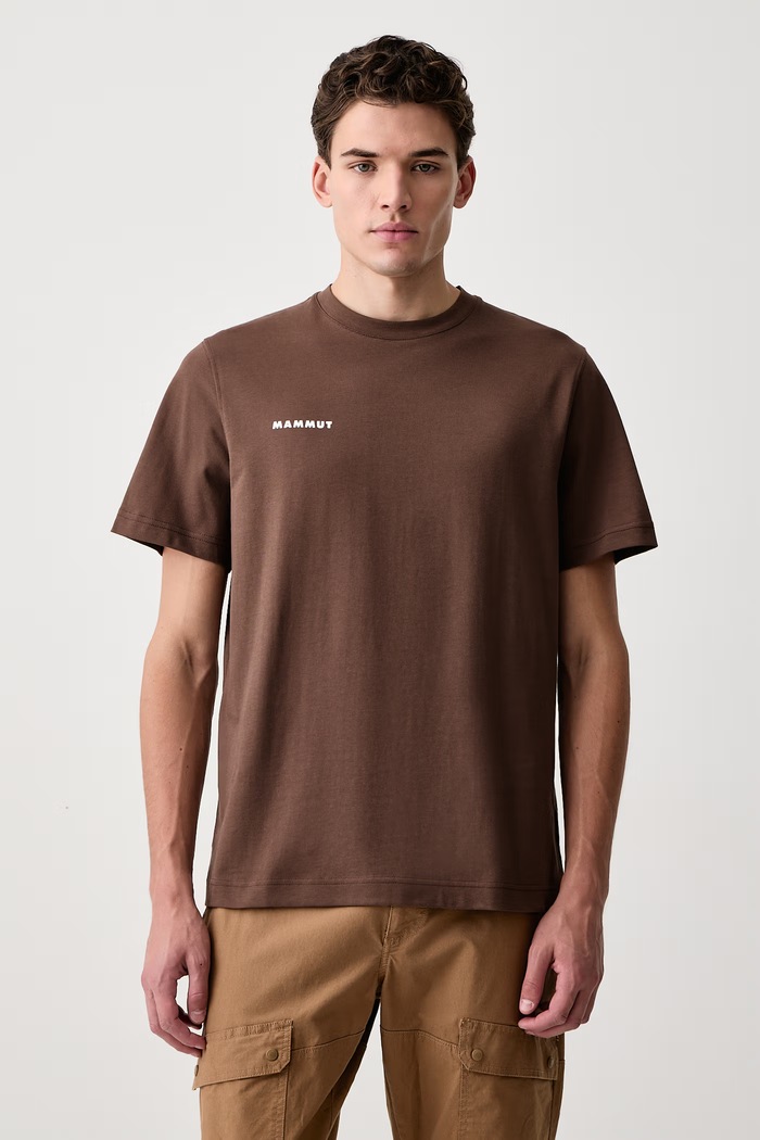 Mammut T-shirt sportowy męski bawełniany Mammut Base brązowy 1017.07590