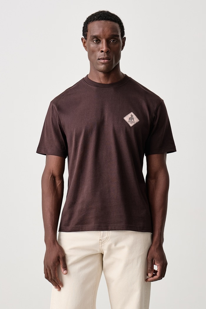 BOSS Orange T-shirt męski bawełniany Te_Tools 50571290 brązowy AW26