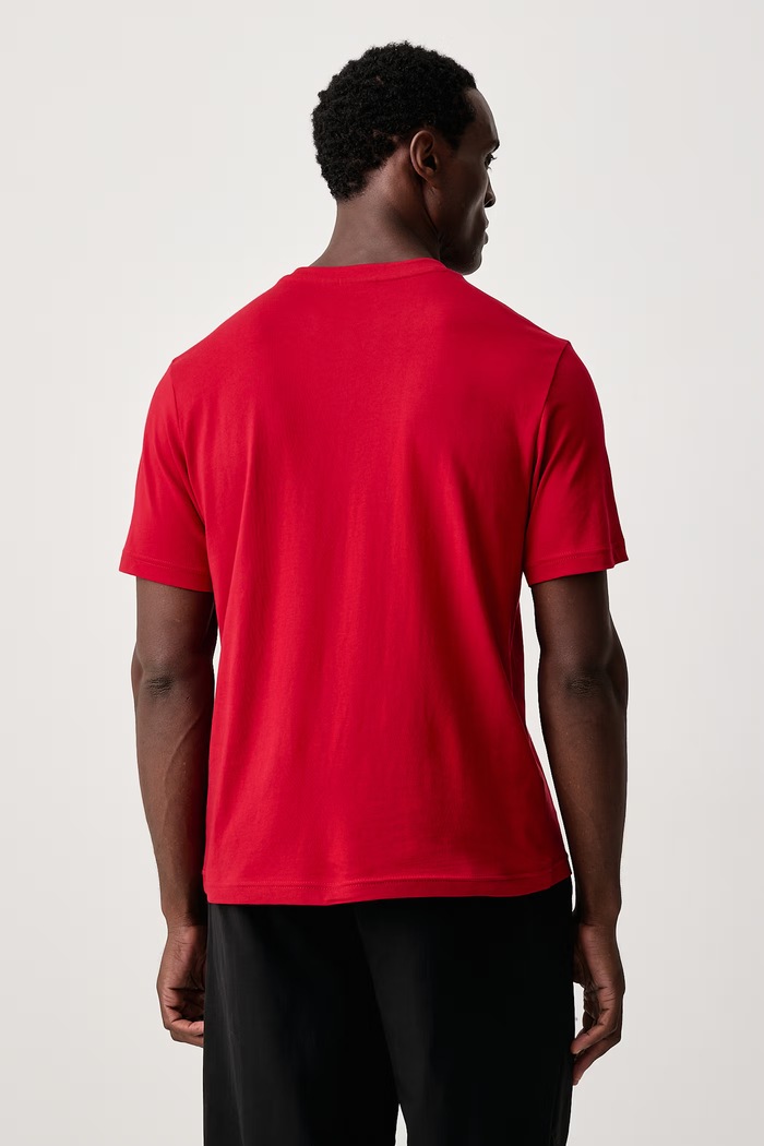 Odzież Napapijri T-shirt męski bawełniany Box Logo NP0A4IFLR1F1 czerwony
