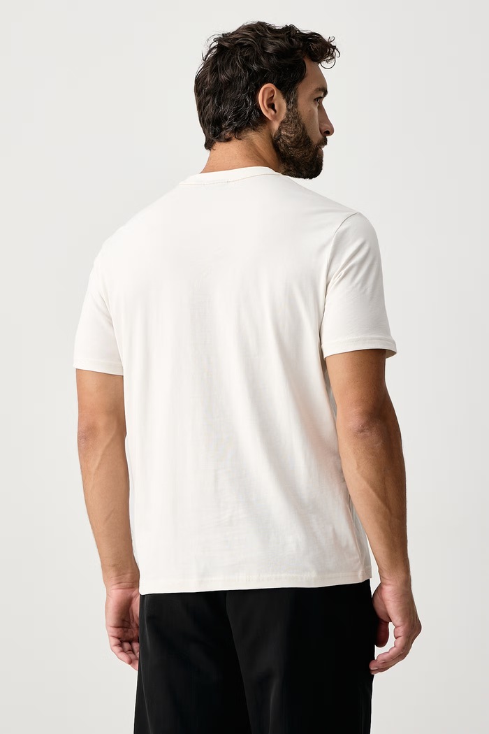 Napapijri T-shirt męski bawełniany Cabin NP0A8B3FN1A1 beżowy AW26