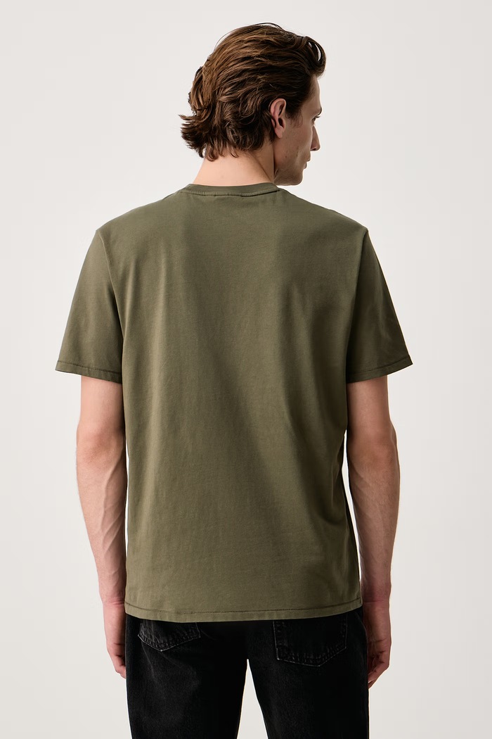 Odzież Napapijri T-shirt męski bawełniany S-Badge NP0A8949G1F1 zielony