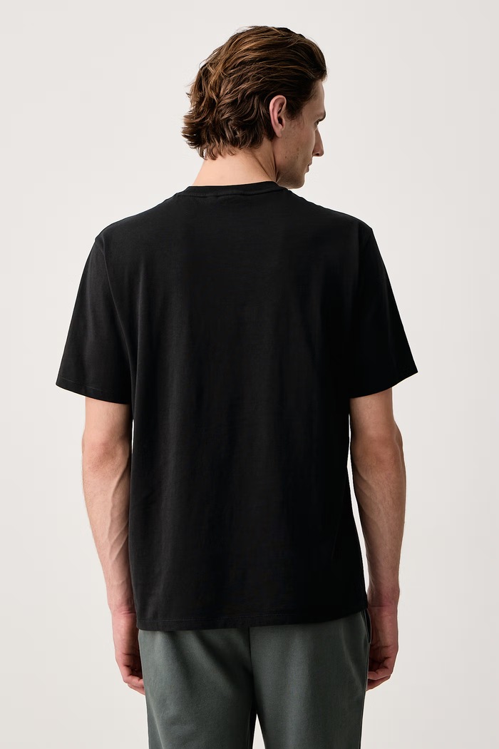 Odzież Napapijri T-shirt męski bawełniany S-Badge NP0A89499411 czarny