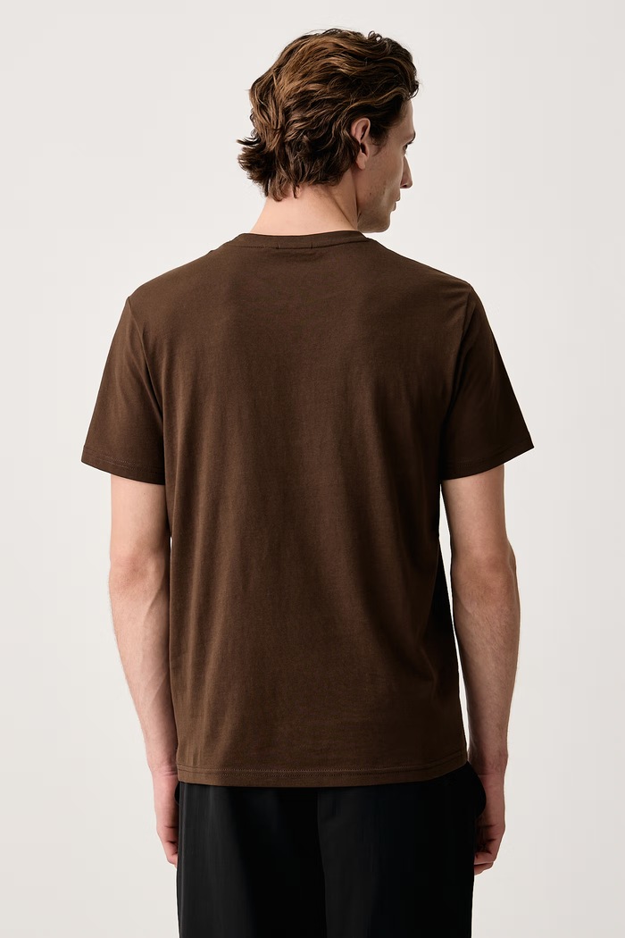 Odzież Napapijri T-shirt basic męski bawełniany Salis NP0A4H8DWT31 brązowy