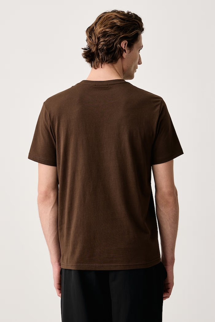 Odzież Napapijri T-shirt basic męski bawełniany Salis NP0A4H8DWT31 brązowy