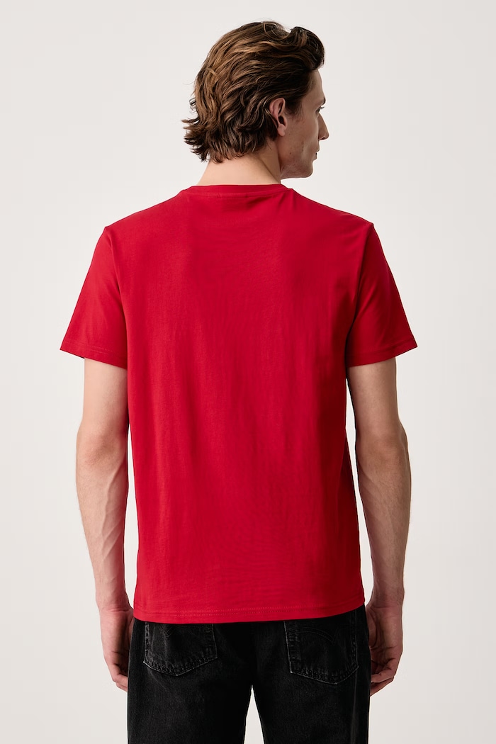 Odzież Napapijri T-shirt męski bawełniany Salis NP0A4H8DR1F1 czerwony