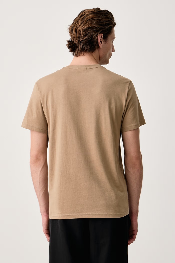 Odzież Napapijri T-shirt basic męski bawełniany Salis NP0A4H8DN7C1 brązowy