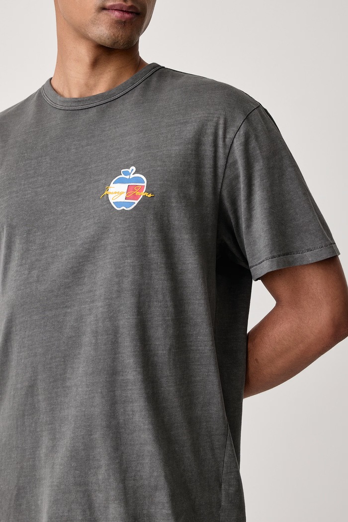 T-shirt męski bawełniany Tommy Jeans DM0DM23551 szary