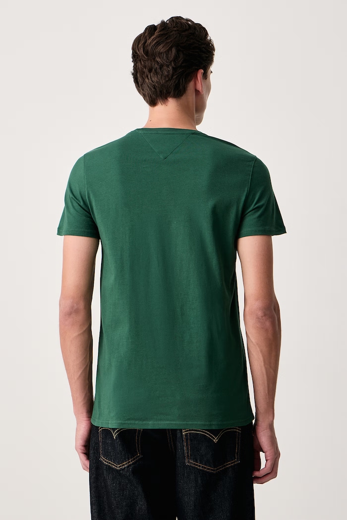 Tommy Jeans T-shirt męski bawełniany DM0DM04411. zielony AW26