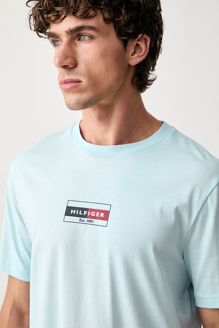 T-shirt męski bawełniany Tommy Hilfiger MW0MW44882 niebieski