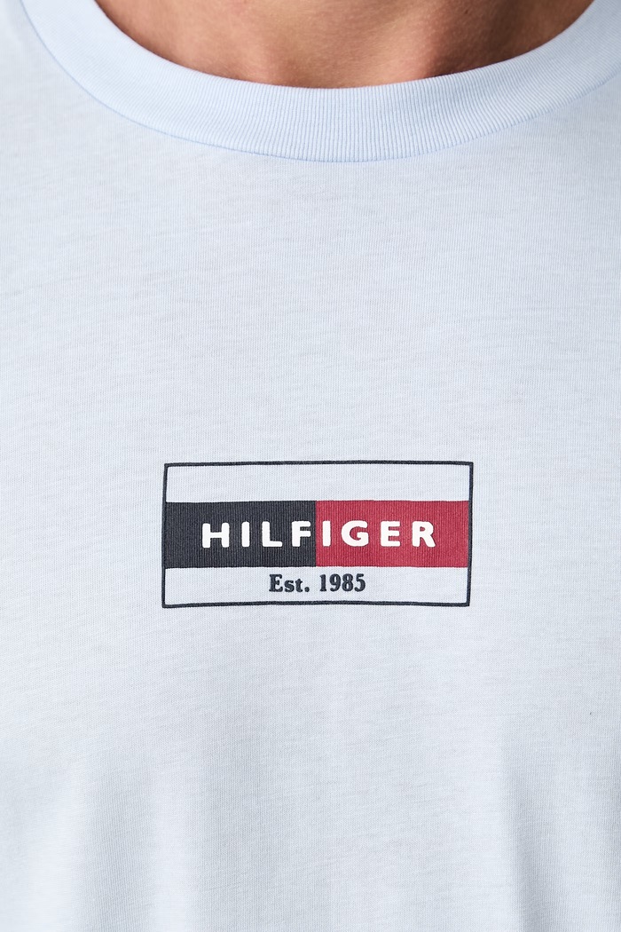 Tommy Hilfiger T-shirt męski bawełniany MW0MW44882 niebieski