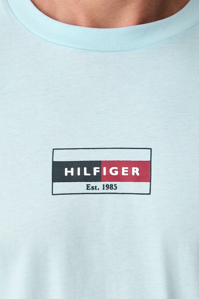 T-shirt męski bawełniany Tommy Hilfiger niebieski MW0MW44882