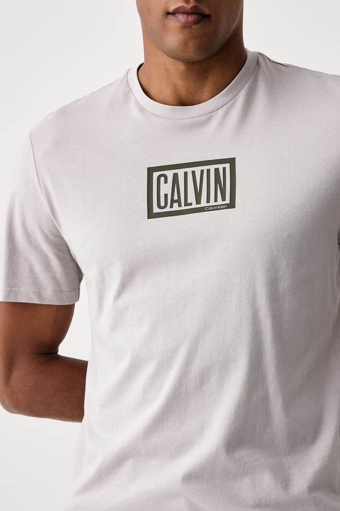 T-shirt męski bawełniany Calvin Klein Jeans LV04RH818G szary