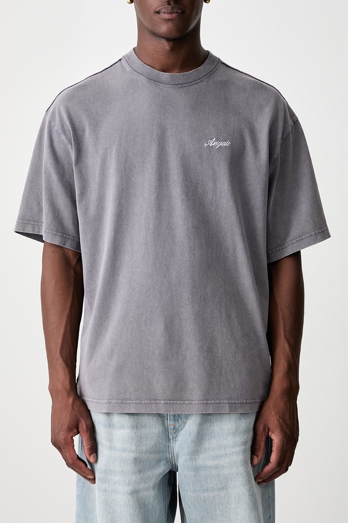 Axel Arigato T-shirt męski bawełniany A2681014 szary