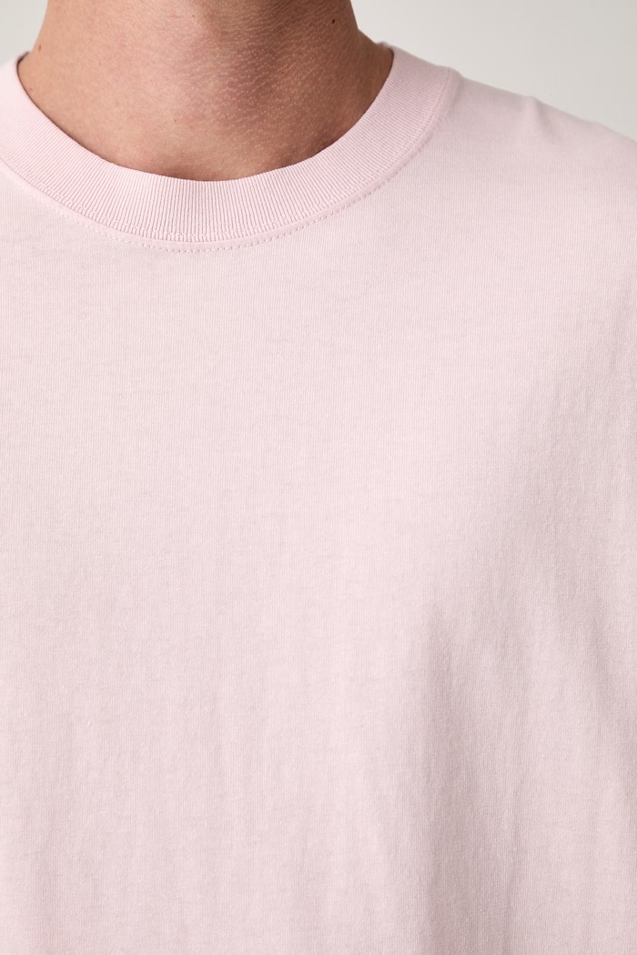 Vans tričko pánské bavlněné PREMIUM VN000TBPH8H1 růžová