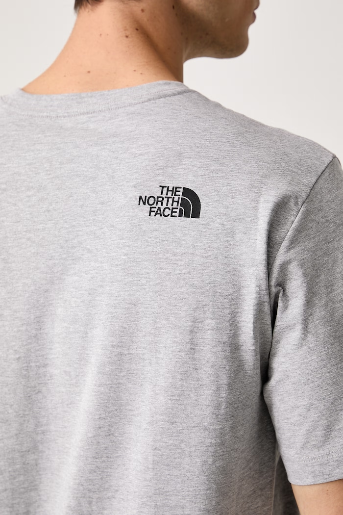 T-shirt ανδρικό με βαμβάκι Evolution The North Face NF0A8G9CCQO1 γκρί