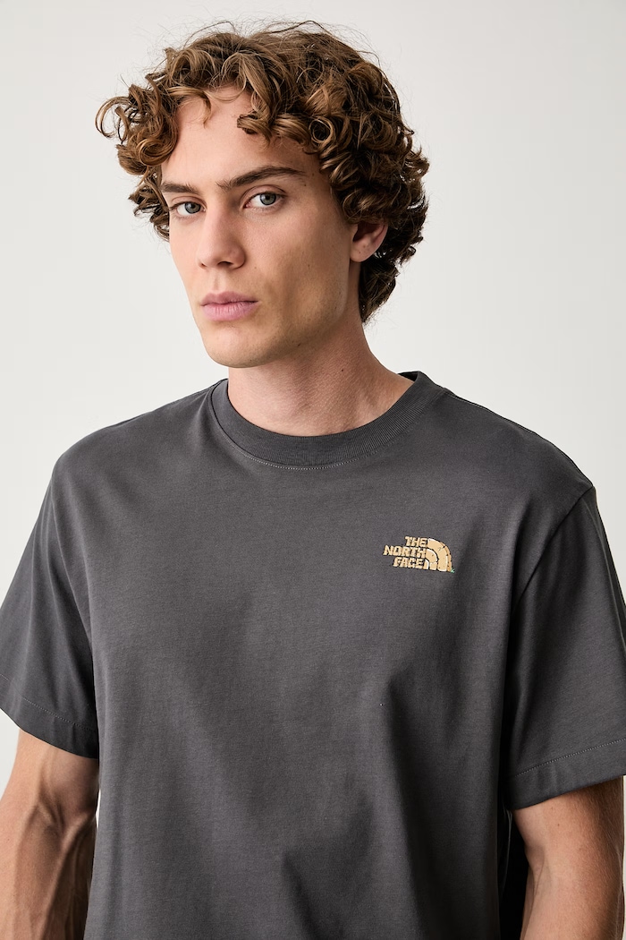 The North Face t-shirt da uomo in cotone Relaxed grigio NF0A8JBERHI1