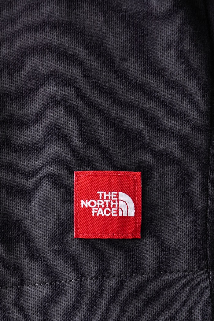 T-shirt męski bawełniany Redbox The North Face szary NF0A8HFY0SA1