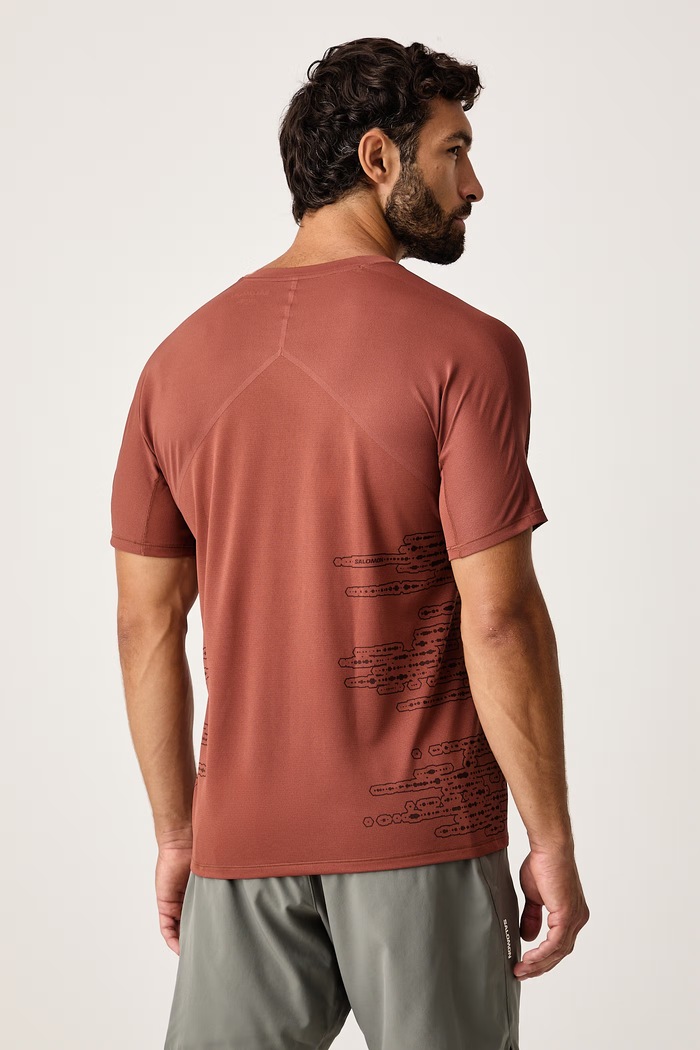 Odzież Salomon T-shirt męski LC2929400 brązowy