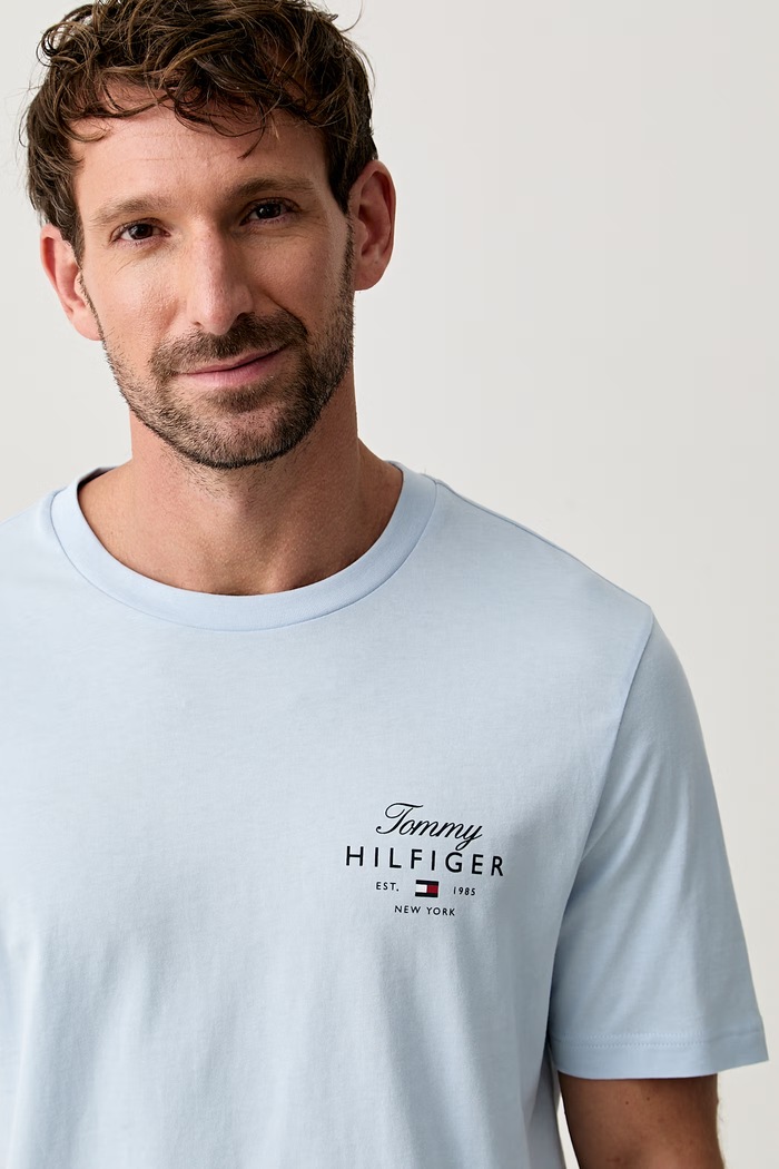Tommy Hilfiger tričko pánské bavlněné modrá MW0MW43224