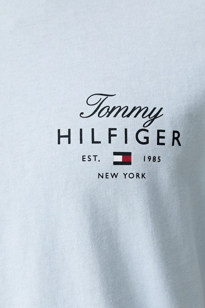 Tommy Hilfiger tričko pánské bavlněné MW0MW43224 modrá