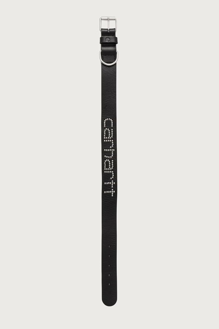 Akcesoria Carhartt WIP Obroża dla psa Script Studs Dog Collar I037387.4BHXX czarny