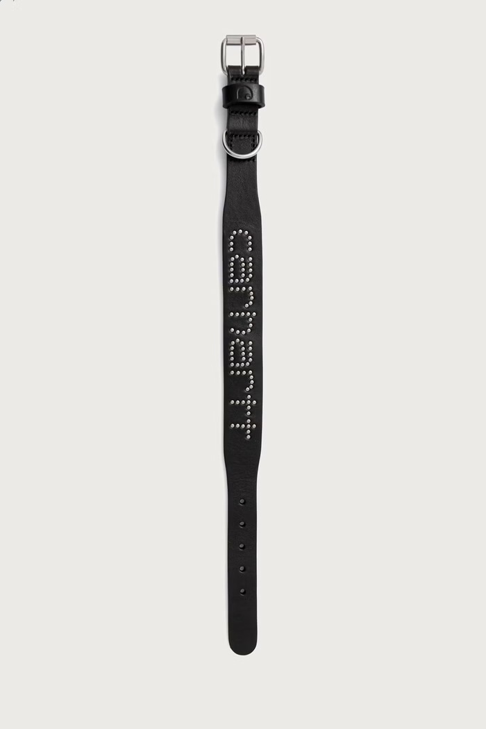 Akcesoria Carhartt WIP Obroża dla psa Script Studs Dog Collar I037387.4BGXX czarny