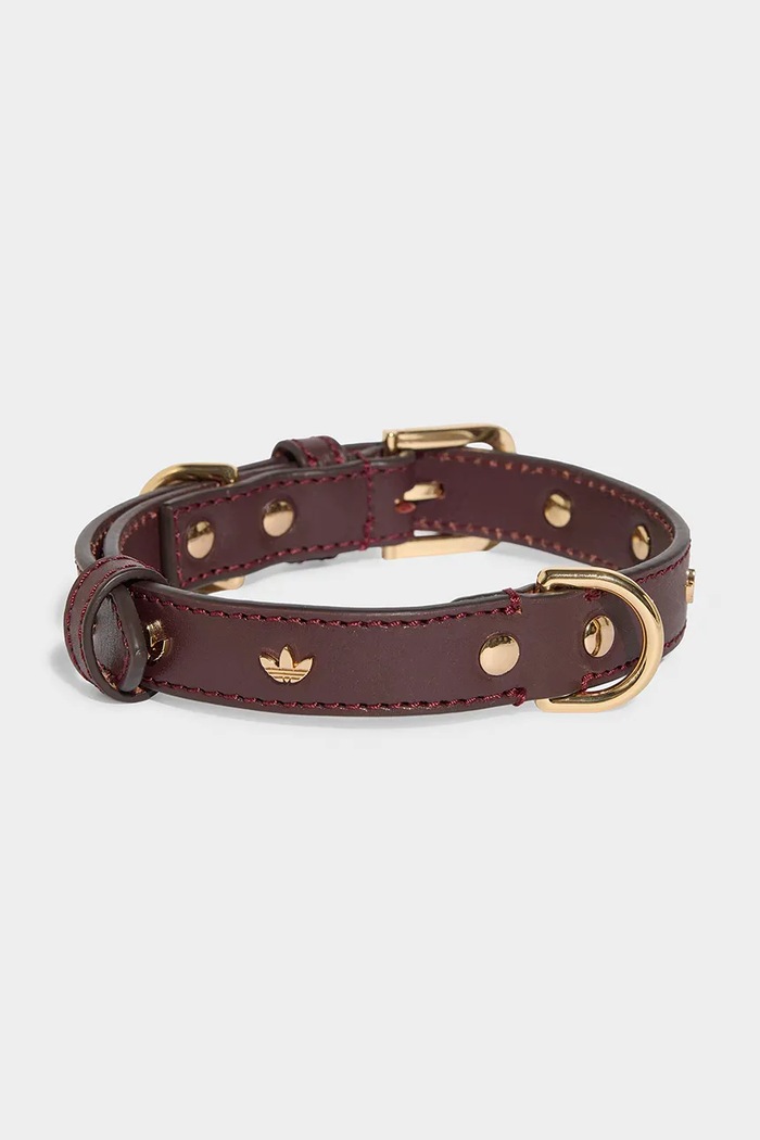 adidas Originals Obroża dla pupila KY8799 brązowy AW26
