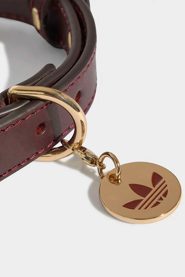 Lifestyle adidas Originals Obroża dla pupila KY8799 brązowy