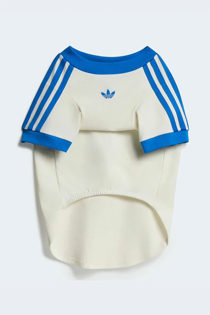 adidas Originals koszulka dla pupila Pet Cali KY8732 biały AW26