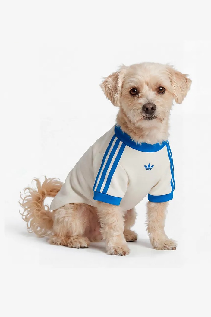 adidas Originals koszulka dla pupila Pet Cali biały KY8732
