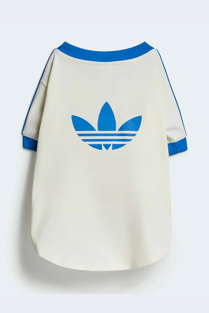 Lifestyle adidas Originals koszulka dla pupila Pet Cali KY8732 biały