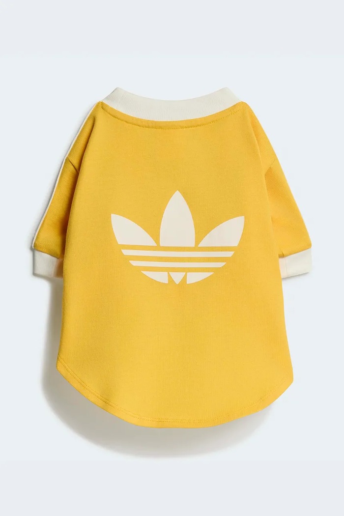 adidas Originals для домашнього улюбленця Pet Cali KY8731 жовтий AW26