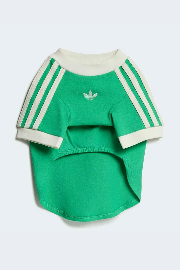 adidas Originals koszulka dla pupila Pet Cali KY8730 zielony AW26
