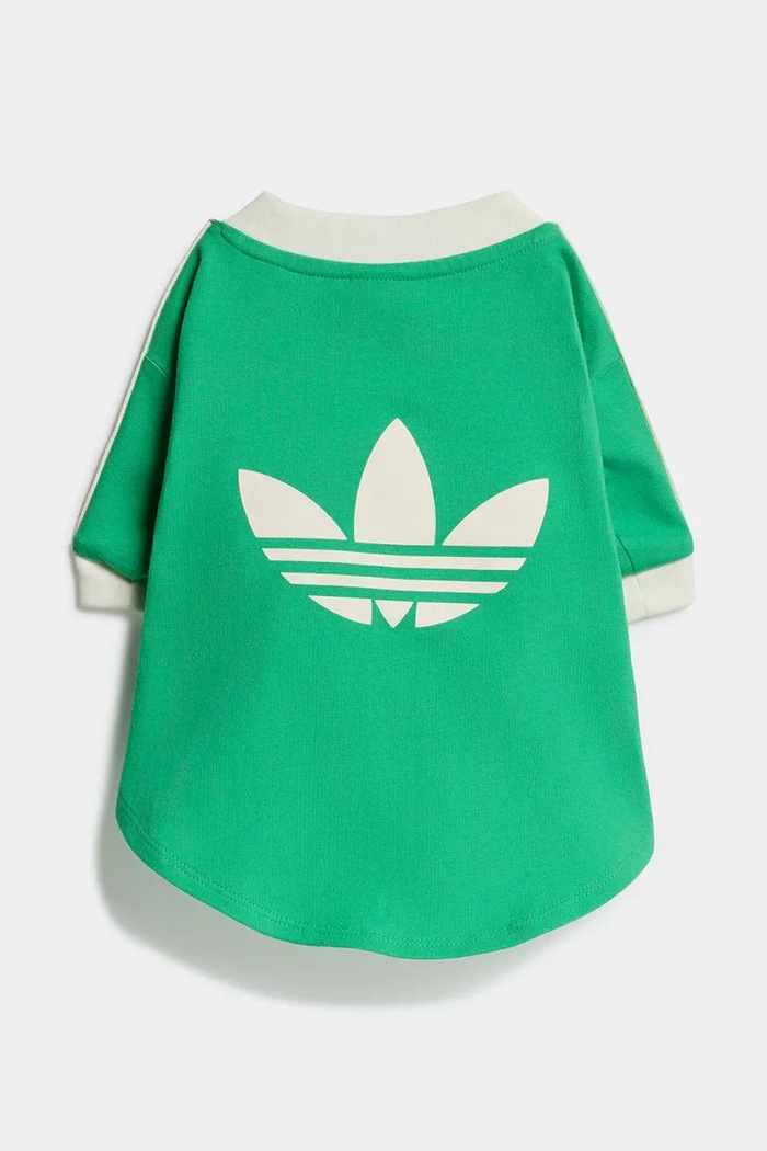 Lifestyle adidas Originals koszulka dla pupila Pet Cali KY8730 zielony
