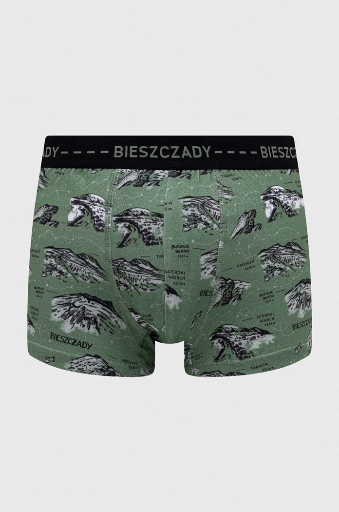 Odzież Bokserki męskie wzorzyste (2-pack) kolor multicolor RS24-BIM202 multicolor